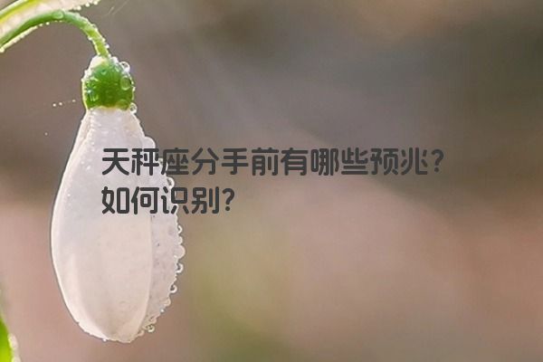 天秤座分手前有哪些预兆？如何识别？