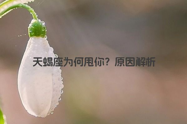 天蝎座为何甩你？原因解析