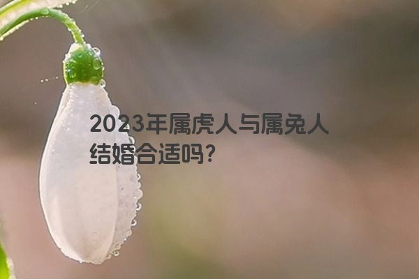 2023年属虎人与属兔人结婚合适吗？