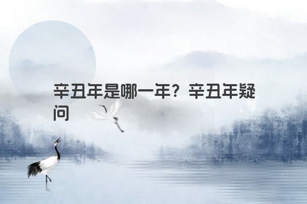 辛丑年是哪一年？辛丑年疑问