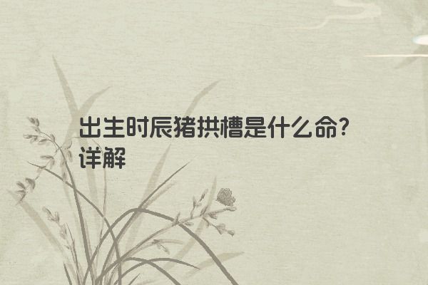 出生时辰猪拱槽是什么命?详解 出生时辰猪拱槽是什么命?详解