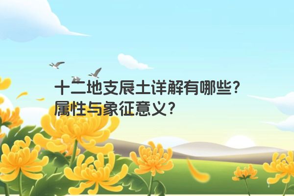 十二地支辰土详解有哪些？属性与象征意义？