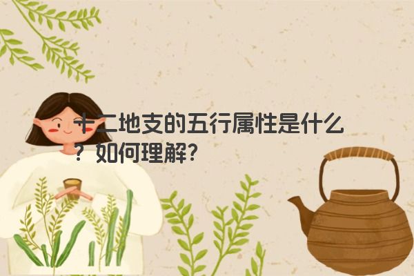 十二地支的五行属性是什么？如何理解？