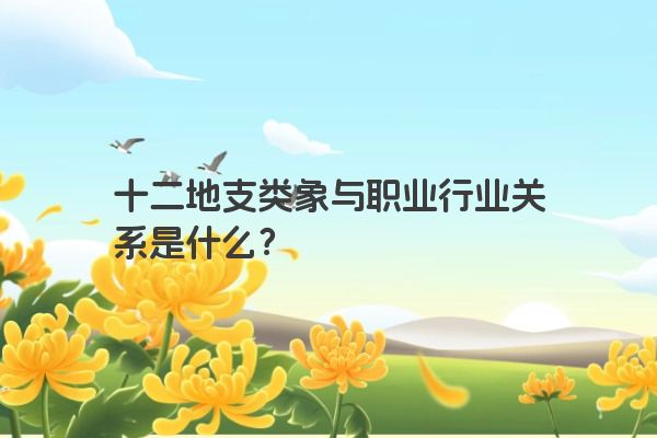 十二地支类象与职业行业关系是什么？