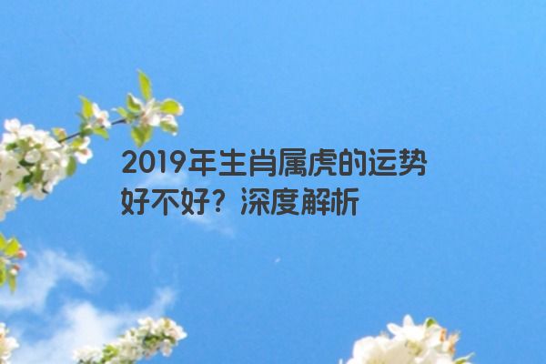 2019年生肖属虎的运势好不好？深度解析