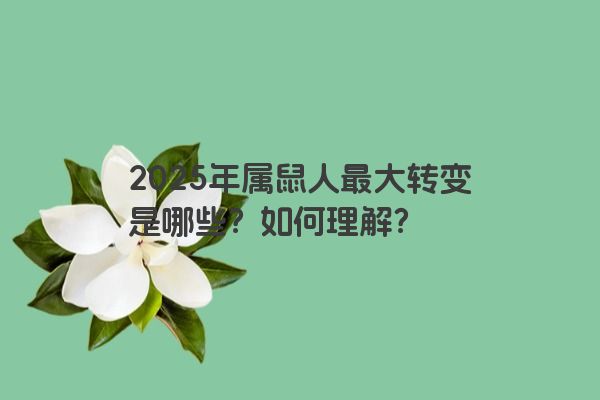 2025年属鼠人最大转变是哪些?如何理解? 2025年属鼠人最大转变是哪些?如何理解?
