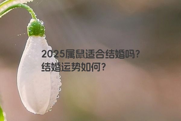 2025属鼠适合结婚吗？结婚运势如何？