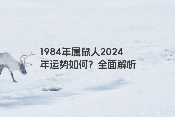1984年属鼠人2024年运势如何？全面解析
