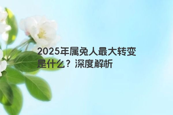 2025年属兔人最大转变是什么?深度解析 2025年属兔人最大转变是什么?深度解析