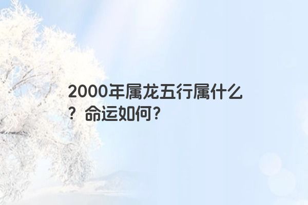 2000年属龙五行属什么？命运如何？