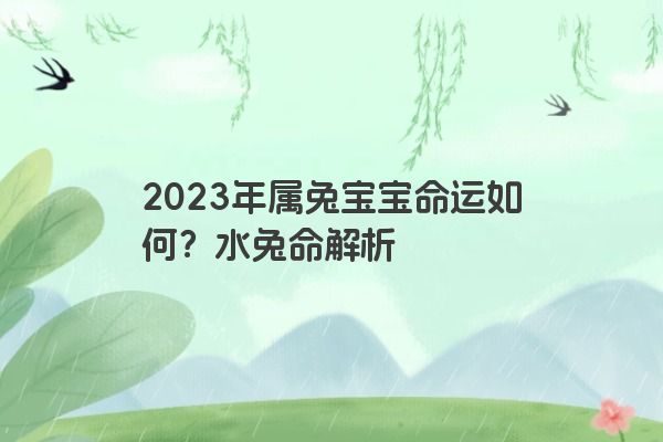 2023年属兔宝宝命运如何？水兔命解析