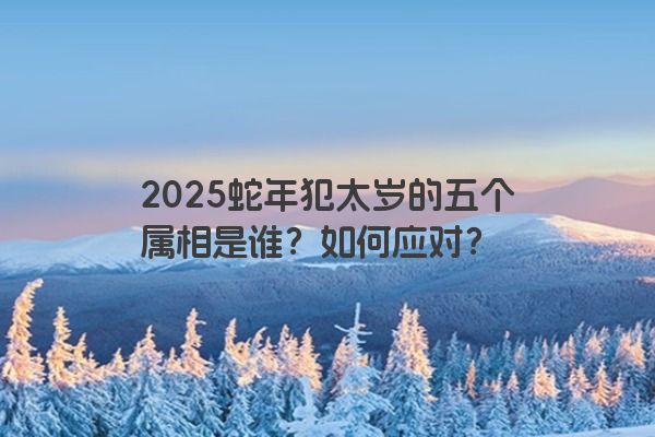 2025蛇年犯太岁的五个属相是谁？如何应对？