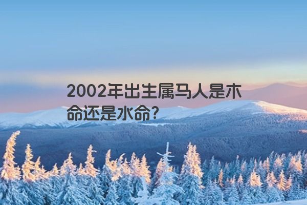 2002年出生属马人是木命还是水命？