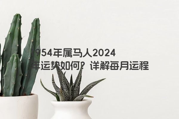 1954年属马人2024年运势如何？详解每月运程