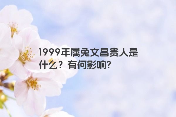 1999年属兔文昌贵人是什么？有何影响？