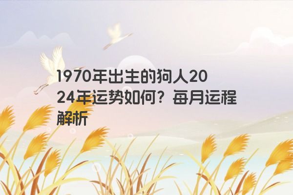 1970年出生的狗人2024年运势如何？每月运程解析