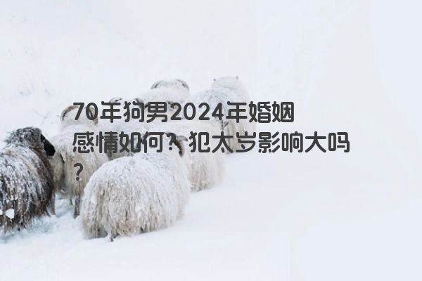 70年狗男2024年婚姻感情如何？犯太岁影响大吗？