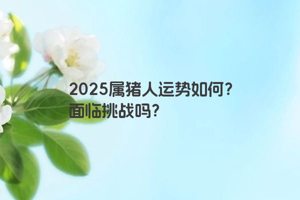 2025属猪人运势如何?面临挑战吗? 2025属猪人运势如何?面临挑战吗?