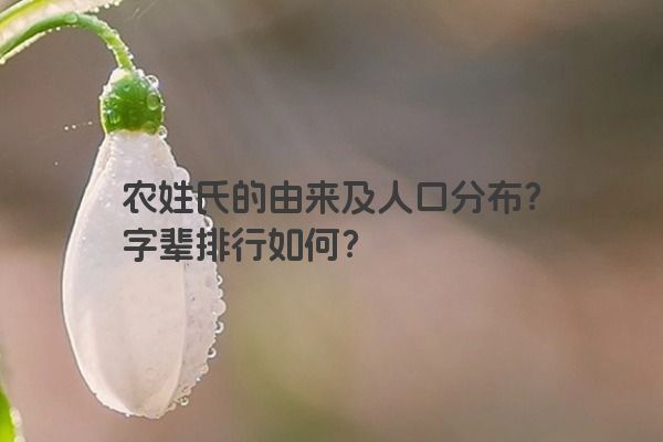 农姓氏的由来及人口分布？字辈排行如何？