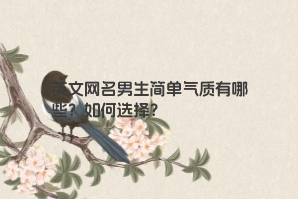 英文网名男生简单气质有哪些？如何选择？