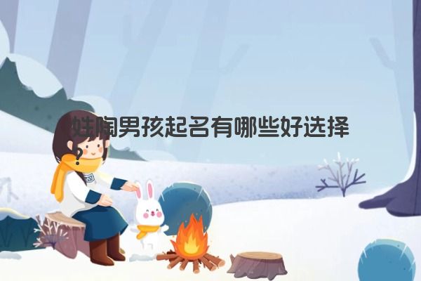 姓陶男孩起名有哪些好选择？