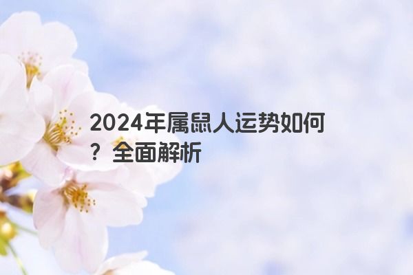 2024年属鼠人运势如何？全面解析