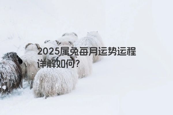 2025属兔每月运势运程详解如何？