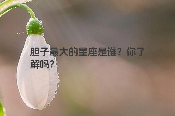 胆子最大的星座是谁？你了解吗？