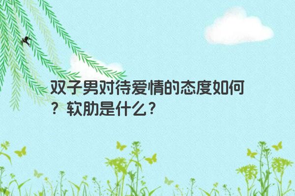 双子男对待爱情的态度如何？软肋是什么？