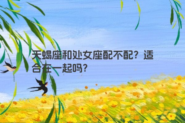 天蝎座和处女座配不配？适合在一起吗？