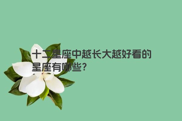 十二星座中越长大越好看的星座有哪些?