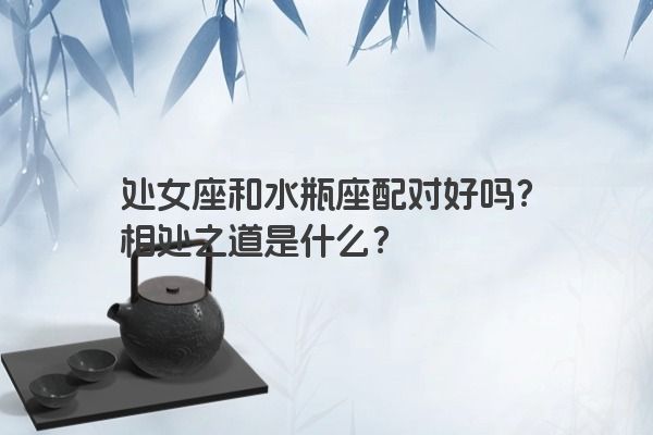 处女座和水瓶座配对好吗？相处之道是什么？