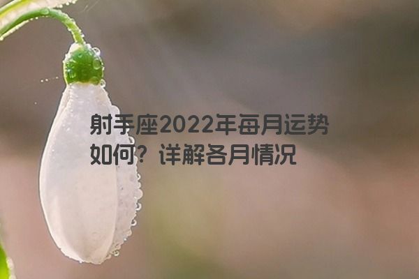 射手座2022年每月运势如何?详解各月情况 射手座2022年每月运势如何?详解各月情况