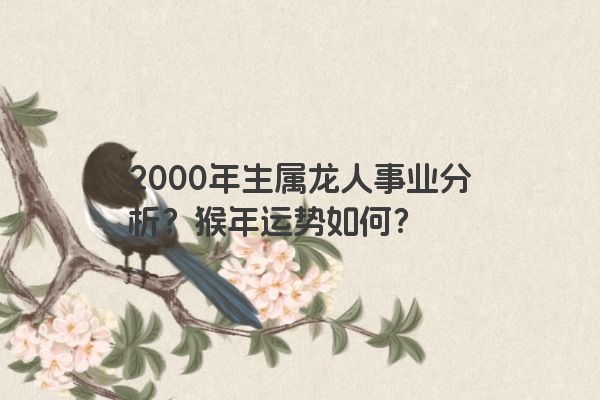 2000年生属龙人事业分析？猴年运势如何？
