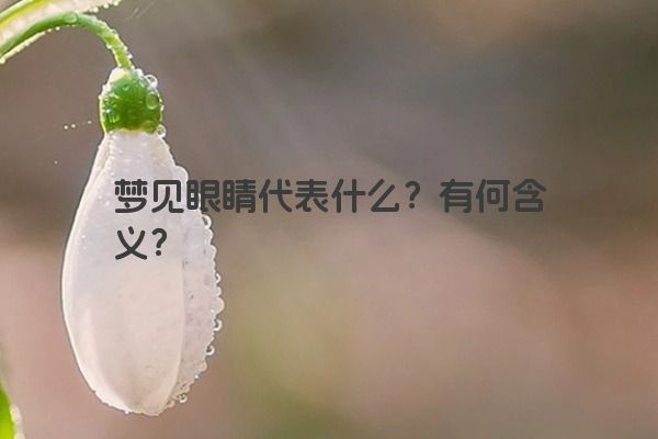 梦见眼睛代表什么？有何含义？