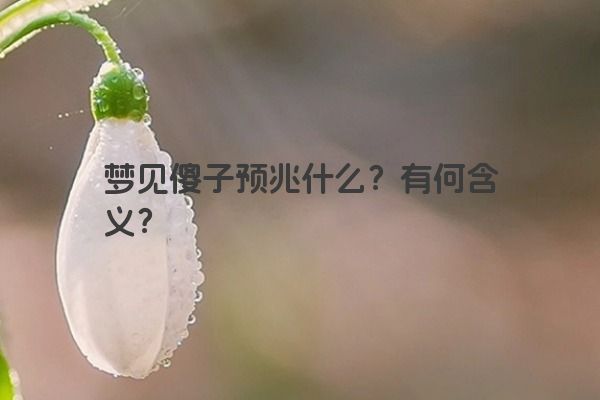 梦见傻子预兆什么？有何含义？