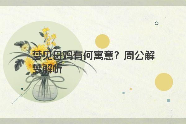 梦见母鸡有何寓意？周公解梦解析