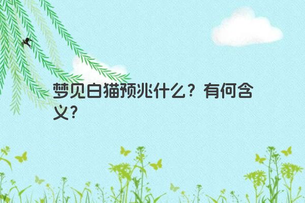 梦见白猫预兆什么？有何含义？