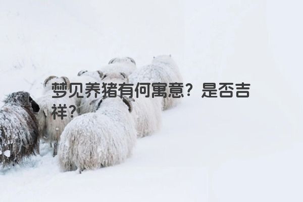 梦见养猪有何寓意?是否吉祥?