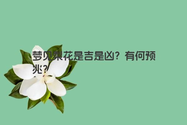 梦见梨花是吉是凶？有何预兆？