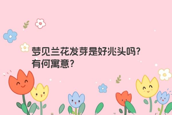 梦见兰花发芽是好兆头吗？有何寓意？