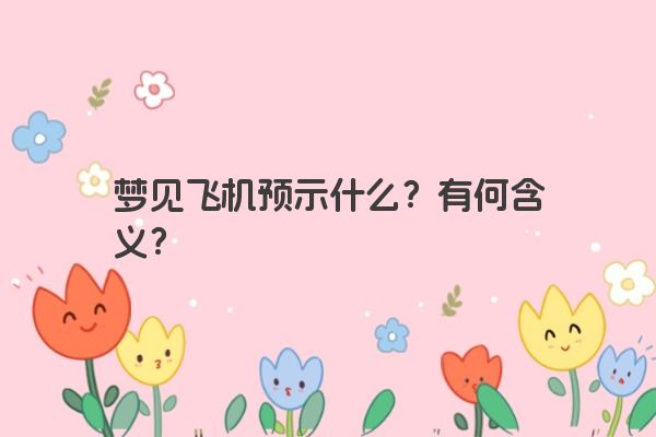 梦见飞机预示什么？有何含义？