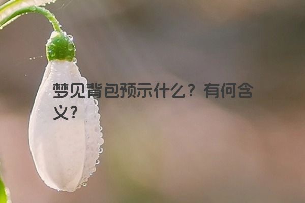 梦见背包预示什么？有何含义？