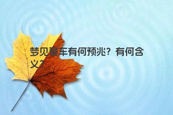 梦见警车有何预兆？有何含义？
