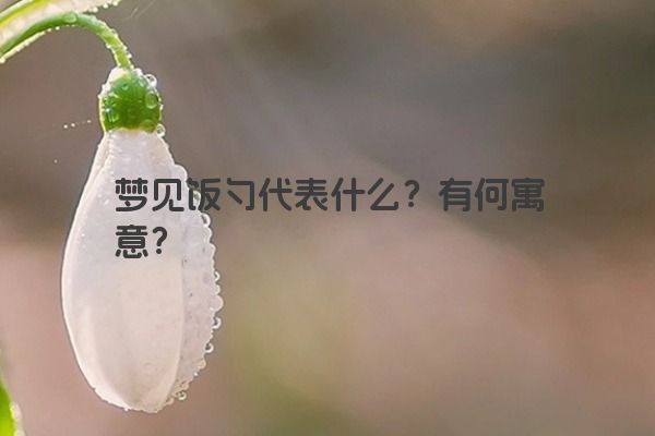 梦见饭勺代表什么？有何寓意？
