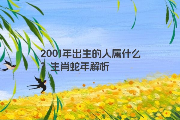 2001年出生的人属什么？生肖蛇年解析