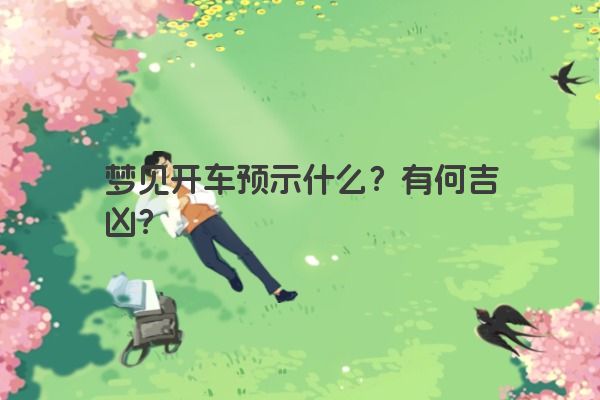 梦见开车预示什么？有何吉凶？
