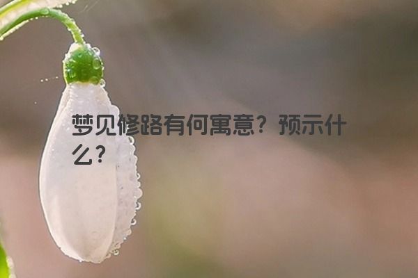 梦见修路有何寓意？预示什么？