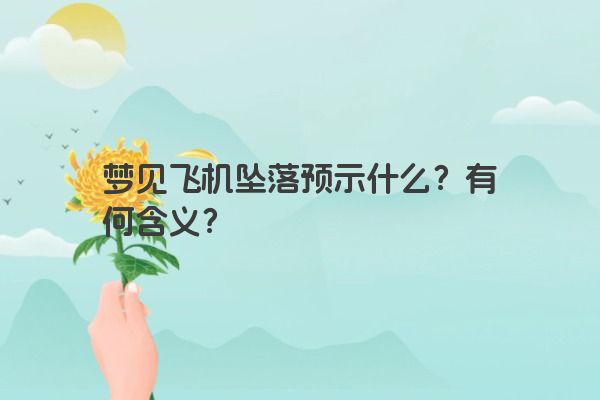 梦见飞机坠落预示什么？有何含义？