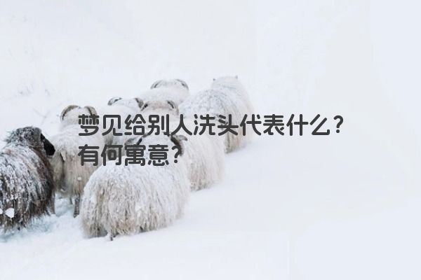 梦见给别人洗头代表什么？有何寓意？